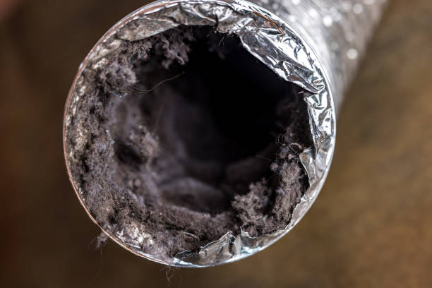  Ellaville, GA Airduct Cleaning Pros