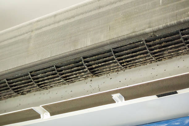 Best HVAC System Cleaning  in Ellaville, GA
